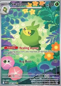 Swadloon (WHT 088) - English