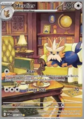 Herdier (WHT 155) - English