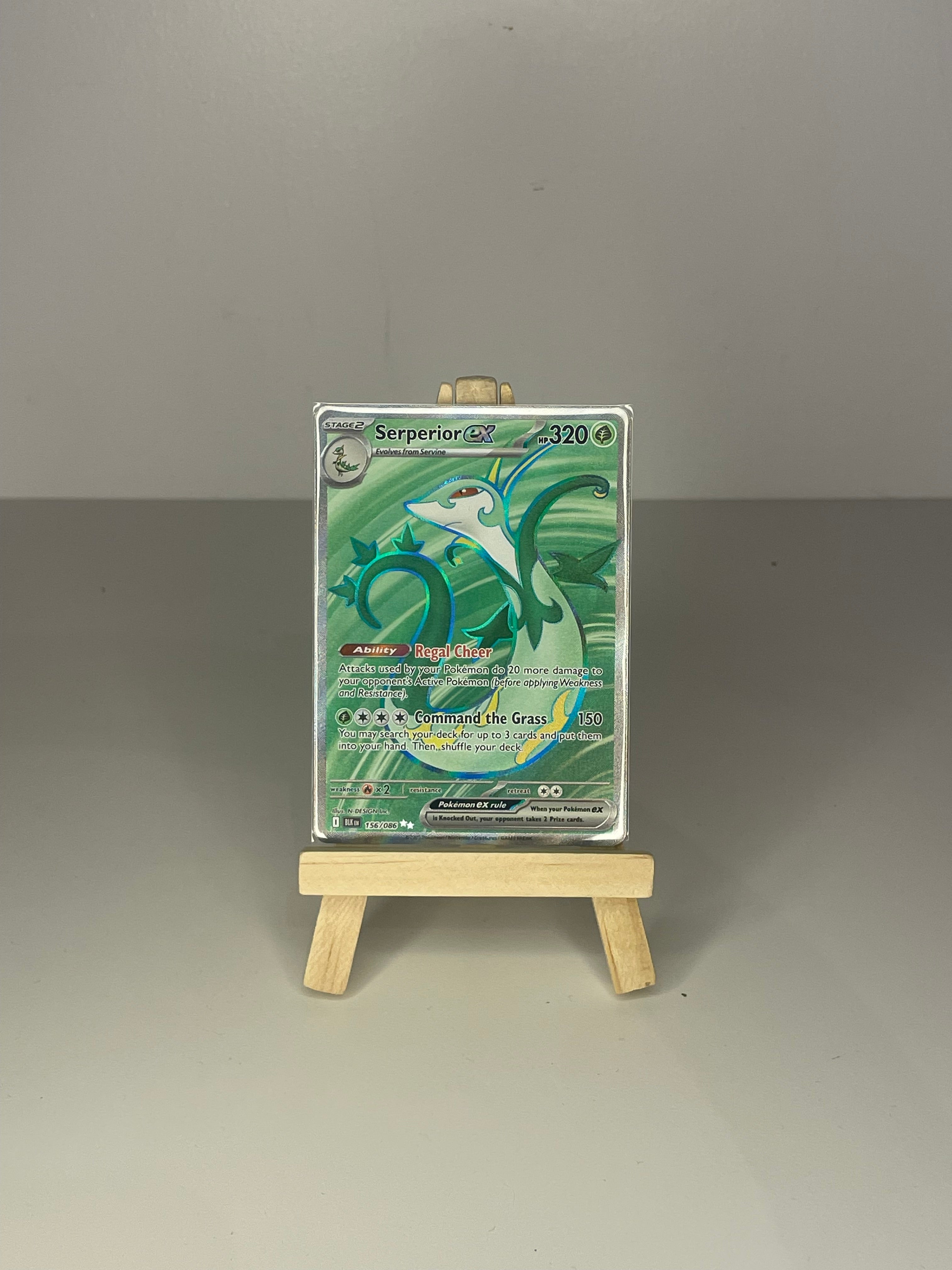 Serperior ex (BLK 156) English