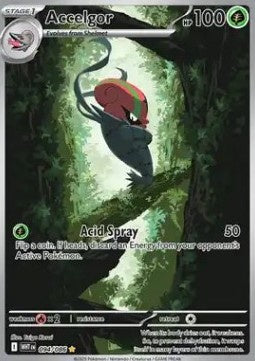 Accelgor (WHT 094)
