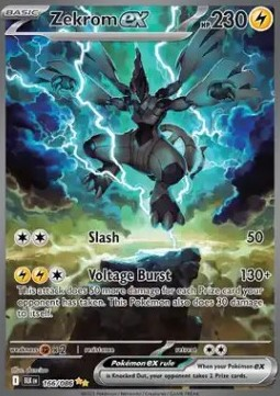 Zekrom ex (BLK 166) - English