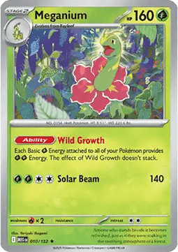 Meganium (MEG 010) - English