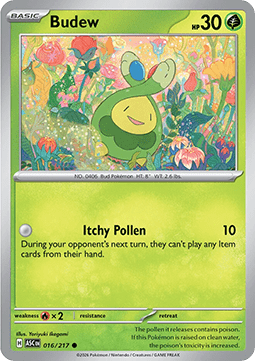 Budew (ASC 016) English