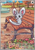 Minccino (BLK 152) - English