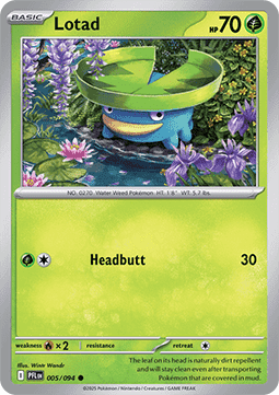 Lotad (PFL 005) - English
