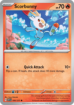 Scorbunny (ASC 036) English