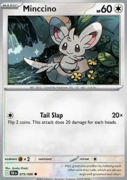 Minccino (BLK 075) - English